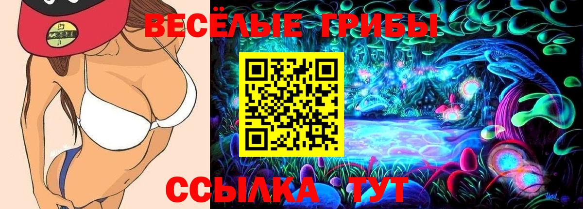 Галлюциногенные грибы Cubensis Якутск